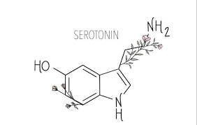 ფოტო 1