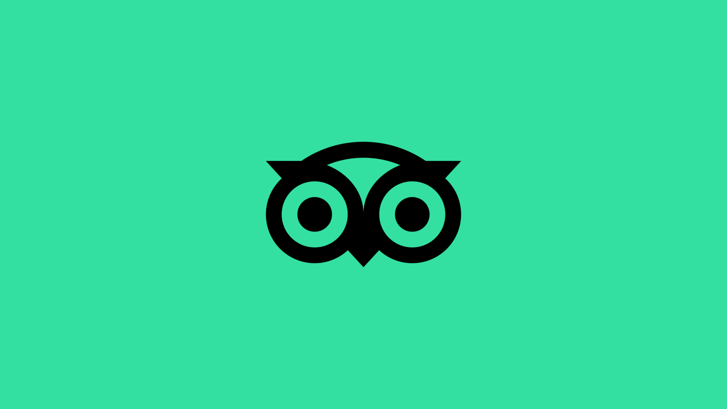 TripAdvisor